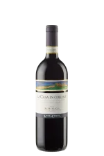 Barbaresco DOCG 'La Casa in Collina’ 2021 Vite Colte