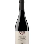 Nebbiolo d'Alba DOC 2023 'I Lioni' Deltetto 1953