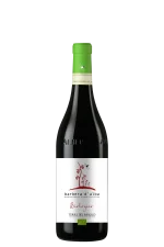 Barbera d‘Alba DOP (BIO) 2023 Terre del Barolo