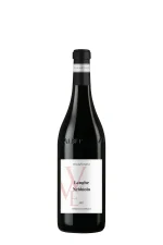 Nebbiolo d’Alba DOC Terre del Barolo 2022
