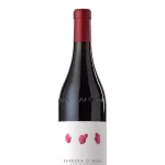 Barbera d’Alba 'Valdisera' DOC 2023 Arnaldo Rivera