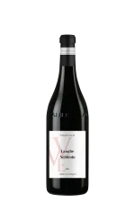 Nebbiolo d’Alba DOC Terre del Barolo 2022