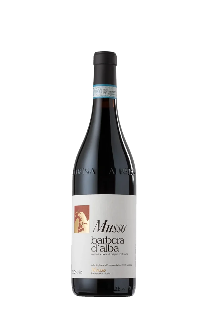 Barbera d’Alba DOC 2023 Musso