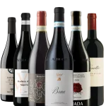 Wein Probierpaket Barbera Discovery!