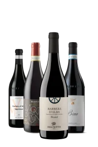 Wein Probierpaket Italien | Rotwein | PAULA – Die Nase eines Talents!