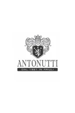 Sauvignon DOC 2024 'Antonutti' – Bild 2