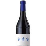 Dolcetto di Diano d’Alba DOCG 2021 'Sorí del Cascinotto' Arnaldo Rivera