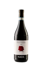 Dolcetto d'Alba DOC 2021 Giuseppe Nada