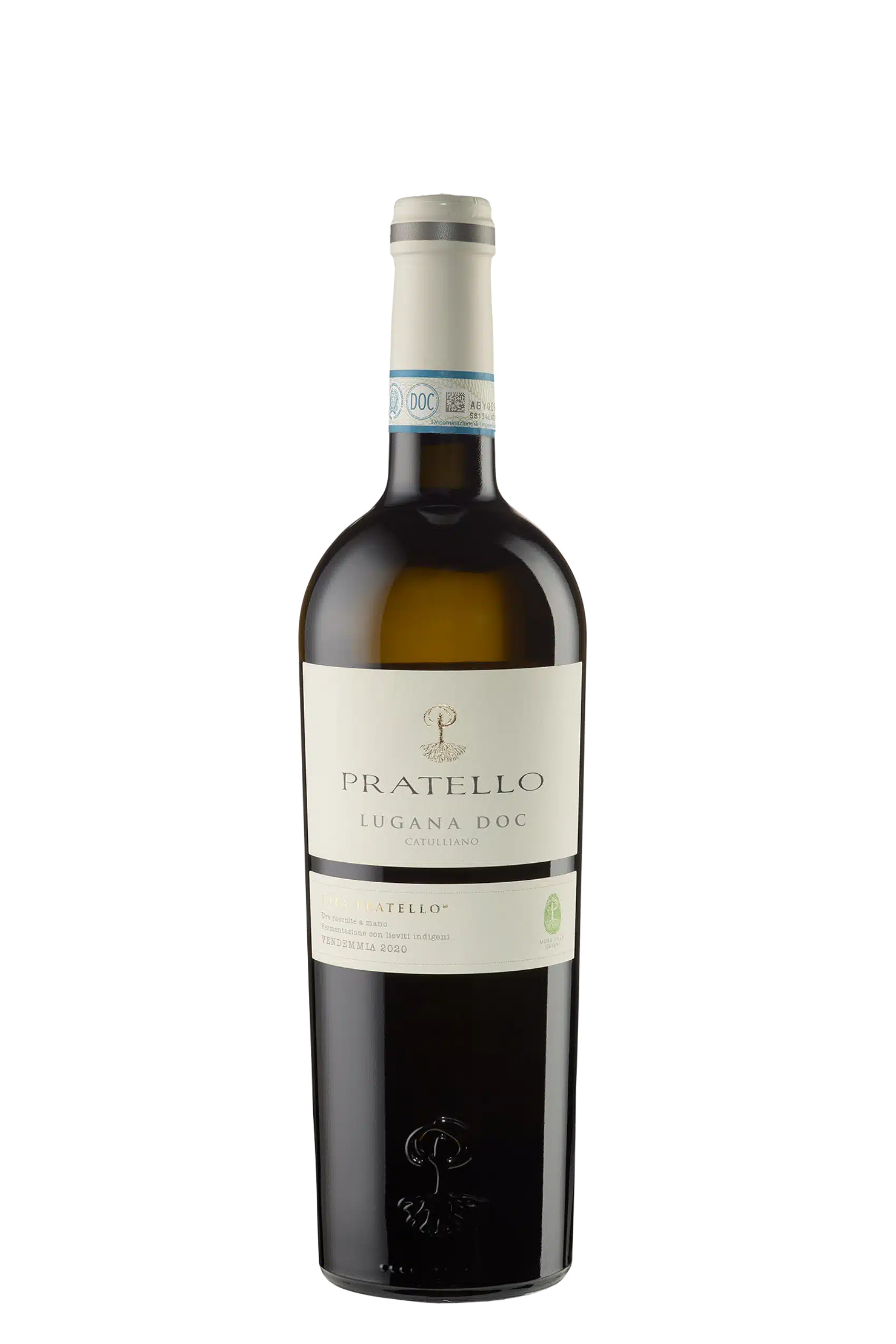 3 Kopie Lugana DOC 'Catulliano' (BIO) 2024 Pratello – Bild 1