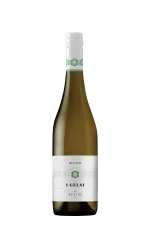 Gelsi Bianco Calabria IGT 2024 Statti