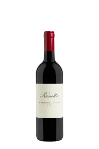 Barbera d’Alba DOC 2024 Prunotto