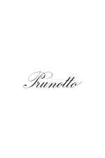 Langhe Arneis DOC 2023 Prunotto – Bild 2