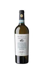 Pinot Grigio DOC 'Telos' 2024 (BIO) Tenuta Sant’ Antonio