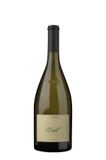 'Winkl' Sauvignon Blanc DOC 2025 Terlan - Südtirol