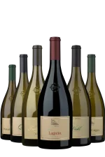 Mehr genießen, weniger zahlen 6er-Vorteil sichern! Weinpaket Kellerei Terlan-Südtirol