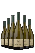 Mehr genießen, weniger zahlen 6er-Vorteil sichern! Pinot Grigio DOC 2025 Terlan