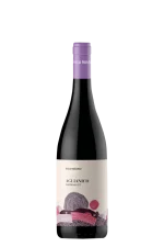 Aglianico Campania Rosso IGT 2023 Villa Raiano