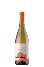 Falanghina Beneventano IGT 2024 Villa Raiano