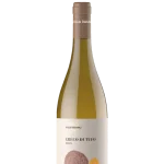 Greco di Tufo DOCG 2024 Villa Raiano