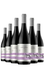 Mehr genießen, weniger zahlen 6er-Vorteil sichern! Virgo Campania Rosso IGP Villa Raiano