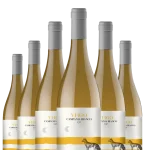 Mehr genießen, weniger zahlen 6er-Vorteil sichern! Virgo Campania Bianco IGT Villa Raiano