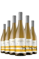 Mehr genießen, weniger zahlen 6er-Vorteil sichern! Virgo Campania Bianco IGT Villa Raiano