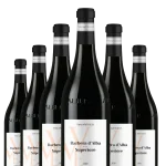 Mehr genießen, weniger zahlen 6er-Vorteil sichern! Barbera d’Alba DOP 'Superiore' Terre del Barolo