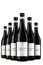 Mehr genießen, weniger zahlen 6er-Vorteil sichern! Barbera d’Alba DOP 'Superiore' Terre del Barolo