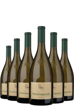 Mehr genießen, weniger zahlen 6er-Vorteil sichern! Pinot Bianco DOC 2025 Terlan